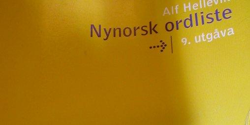 Ekstratilskot til nynorskrobot