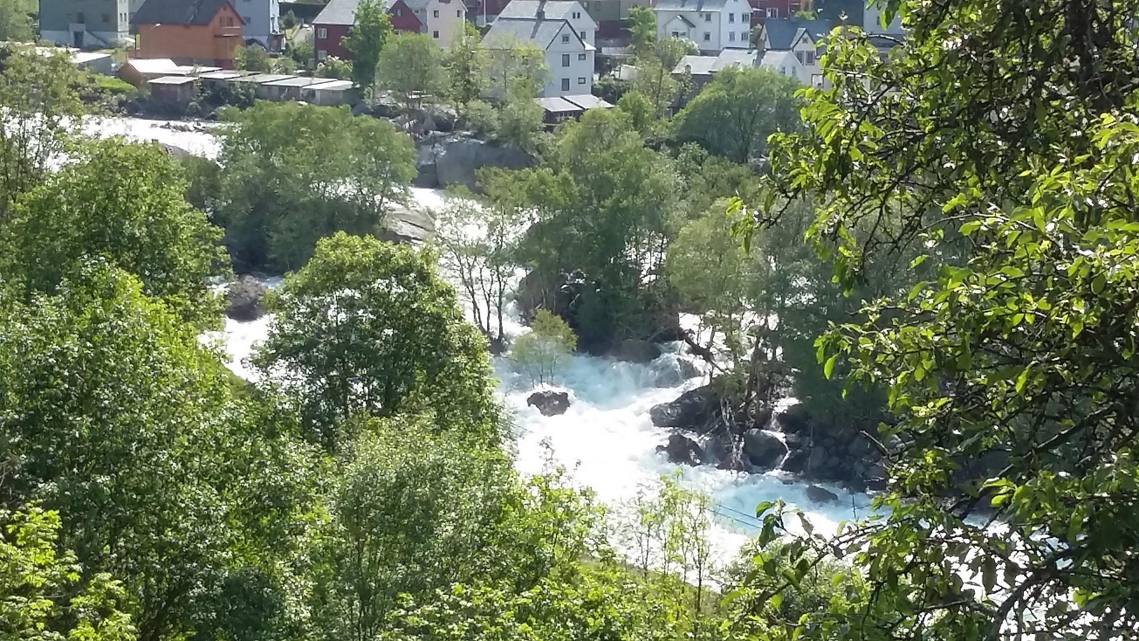 Ny rapport om lakselus