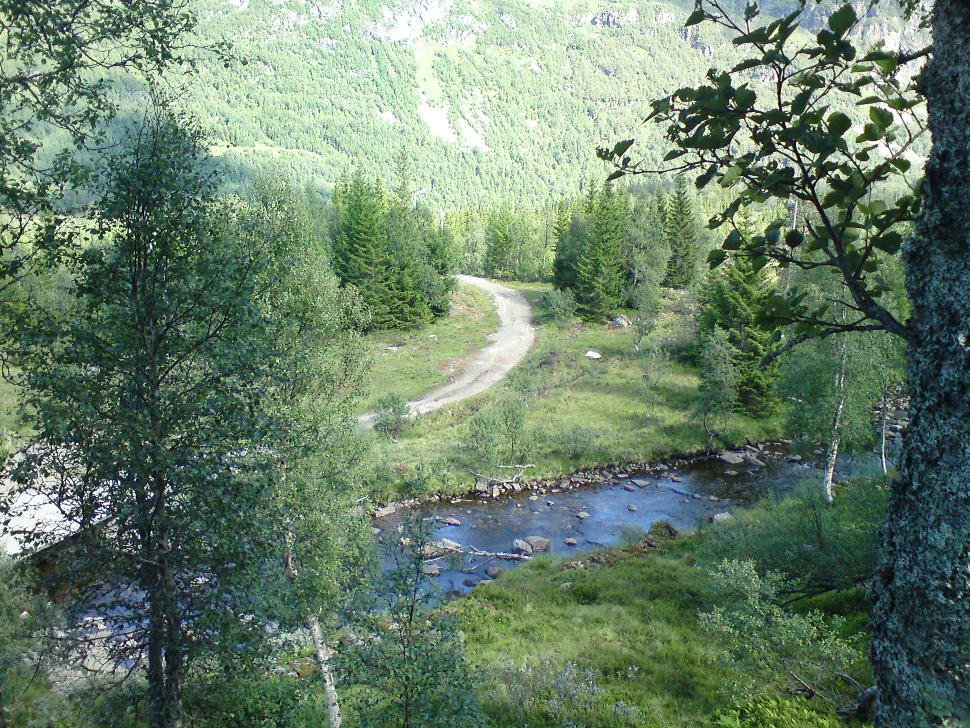 Ynskjer fleire norskproduserte juletre